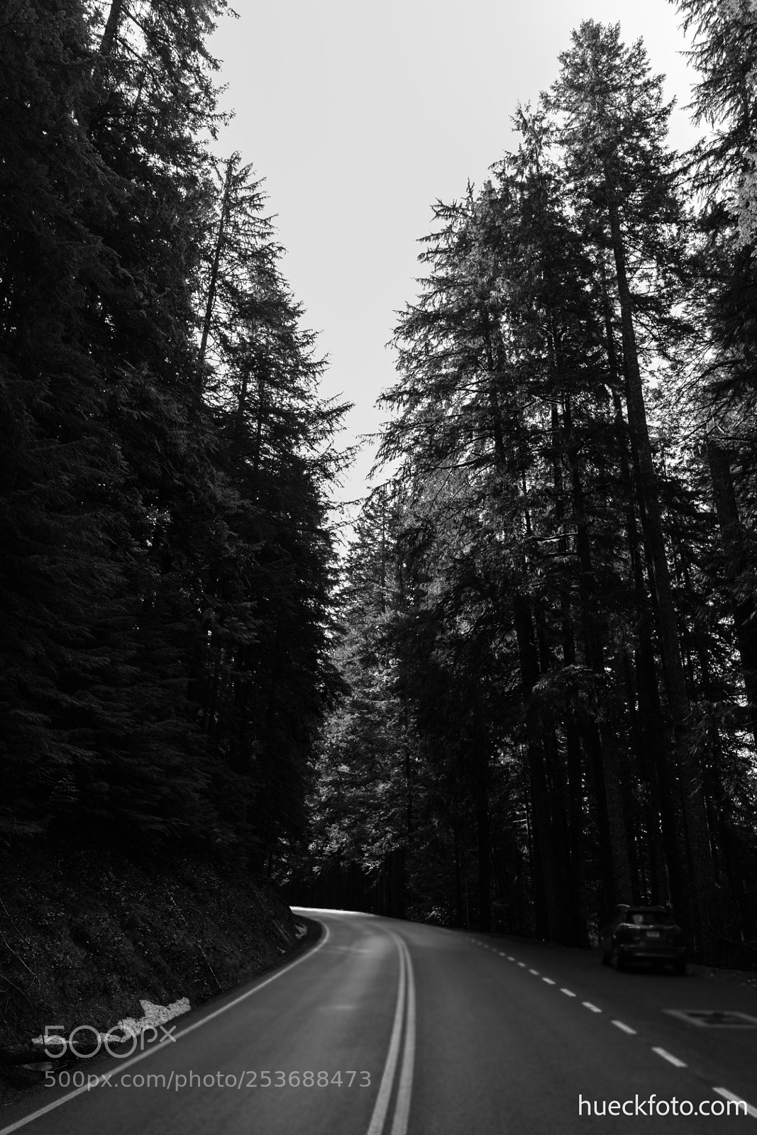 Canon EOS 5D Mark IV sample photo. Mt rainier photography