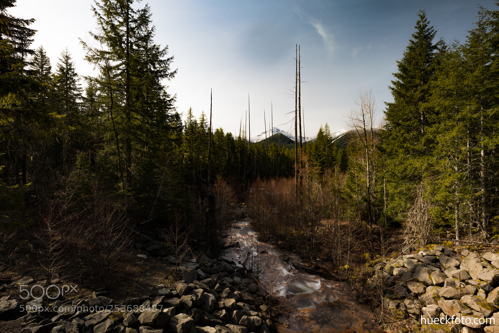 Canon EOS 5D Mark IV sample photo. Mt rainier photography