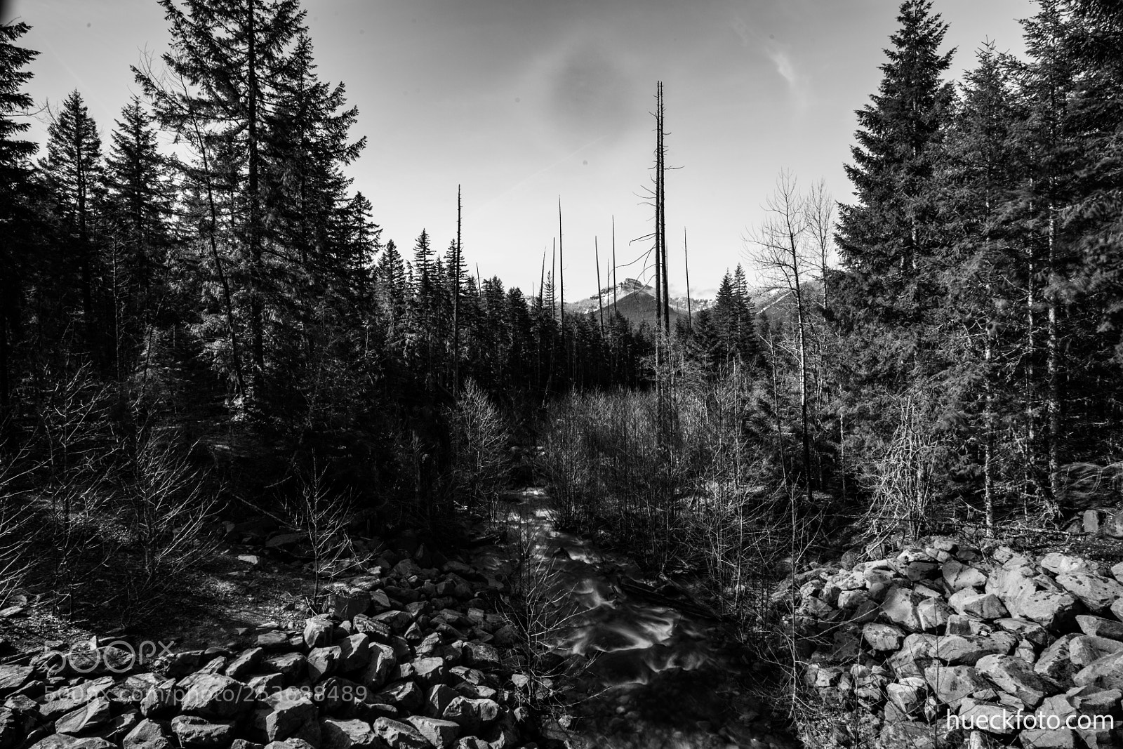 Canon EOS 5D Mark IV sample photo. Mt rainier photography