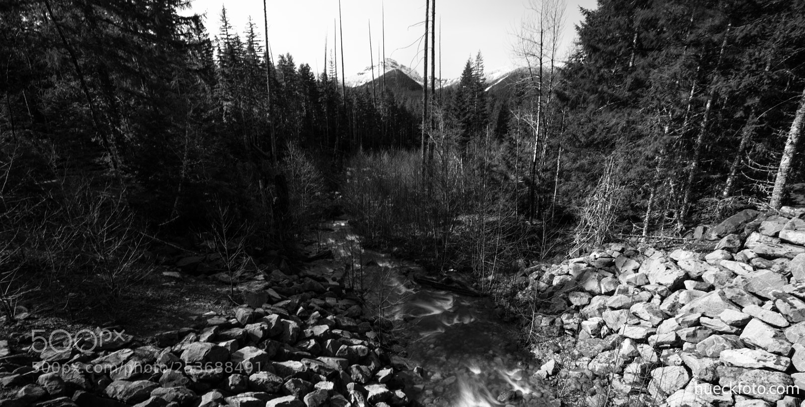 Canon EOS 5D Mark IV sample photo. Mt rainier photography