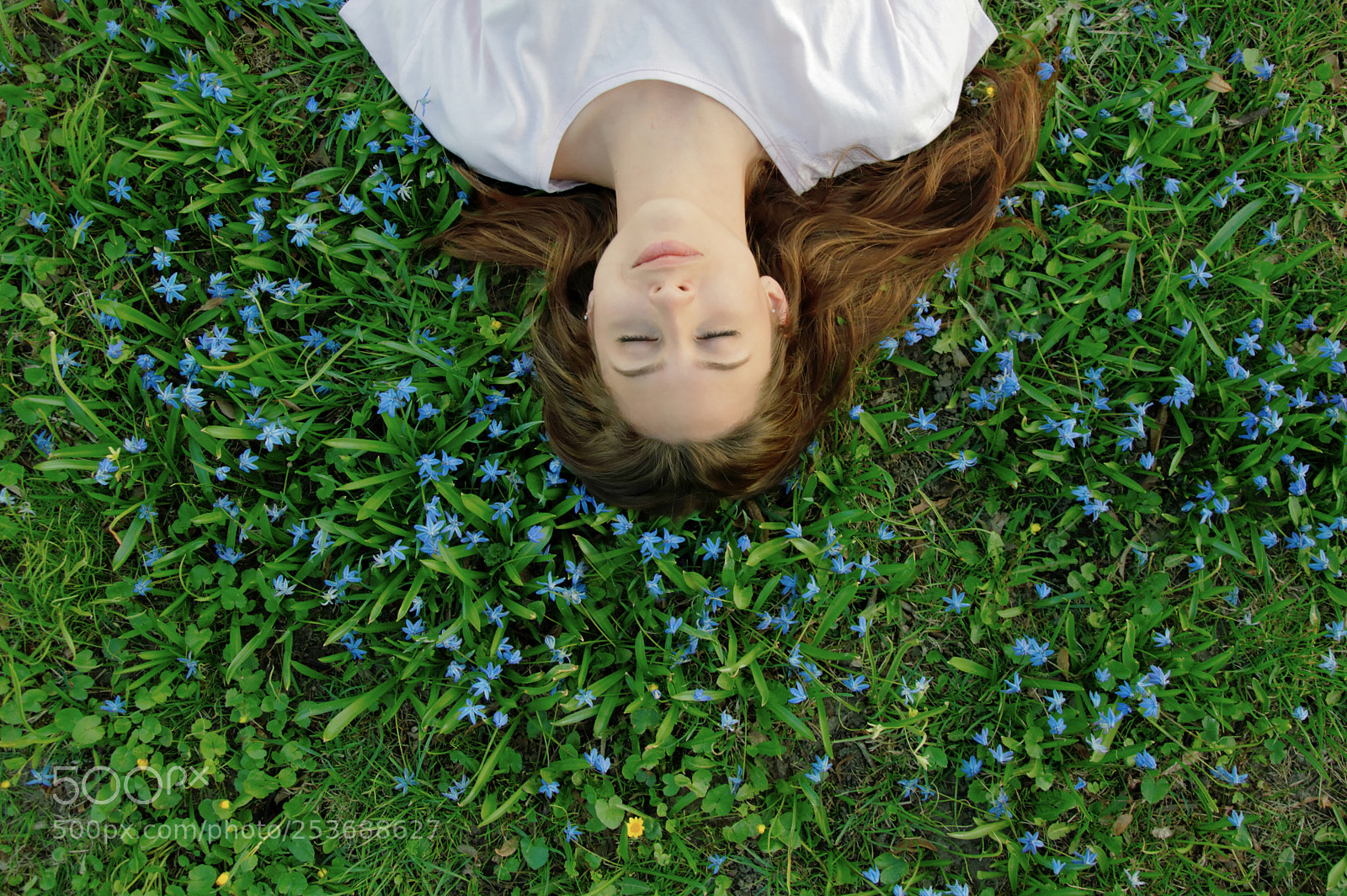 Nikon D3200 sample photo. Spring is here photography