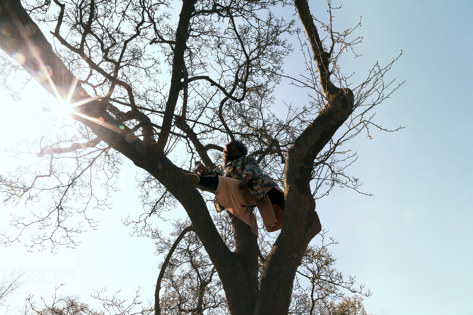 Canon EOS 5D Mark II sample photo. Untitled photography