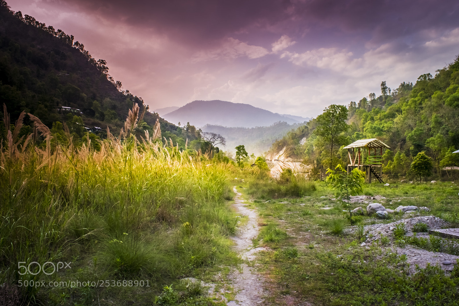 Nikon D3300 sample photo. The way to paradise photography