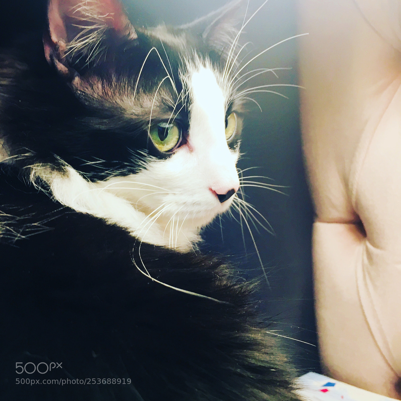 Apple iPhone 6s sample photo. Untitled photography