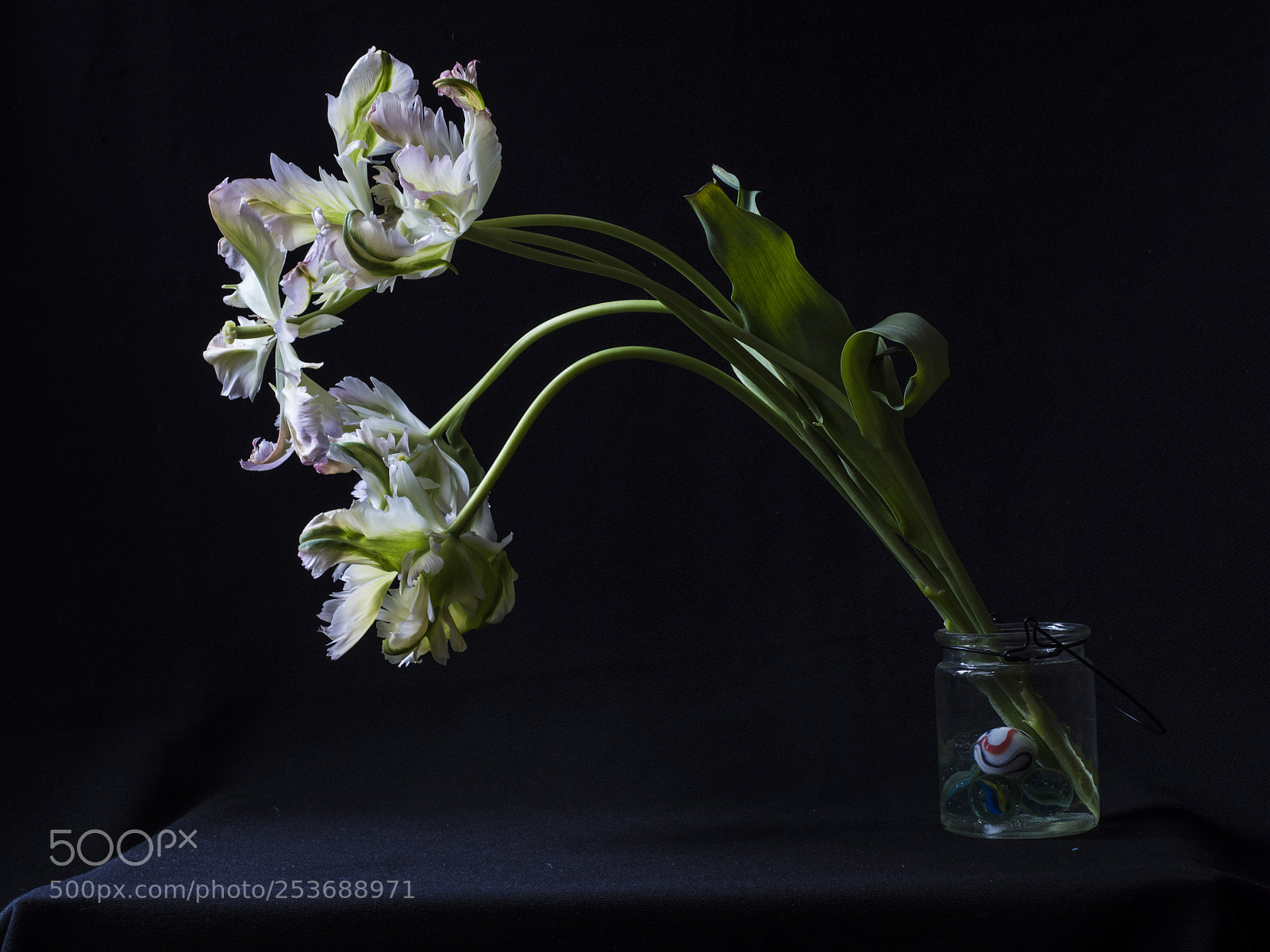 Olympus OM-D E-M1 Mark II sample photo. In a vase photography