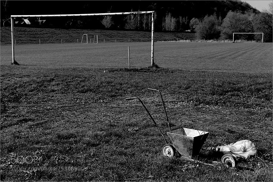 Nikon D610 sample photo. Lime for white lines photography