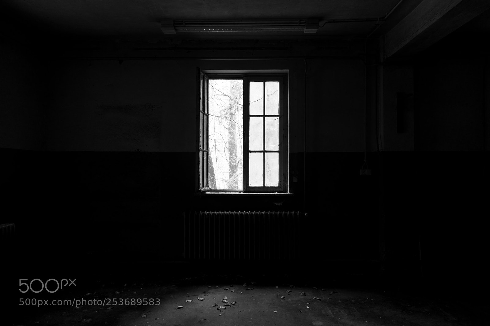 Nikon D5300 sample photo. Dark windows photography