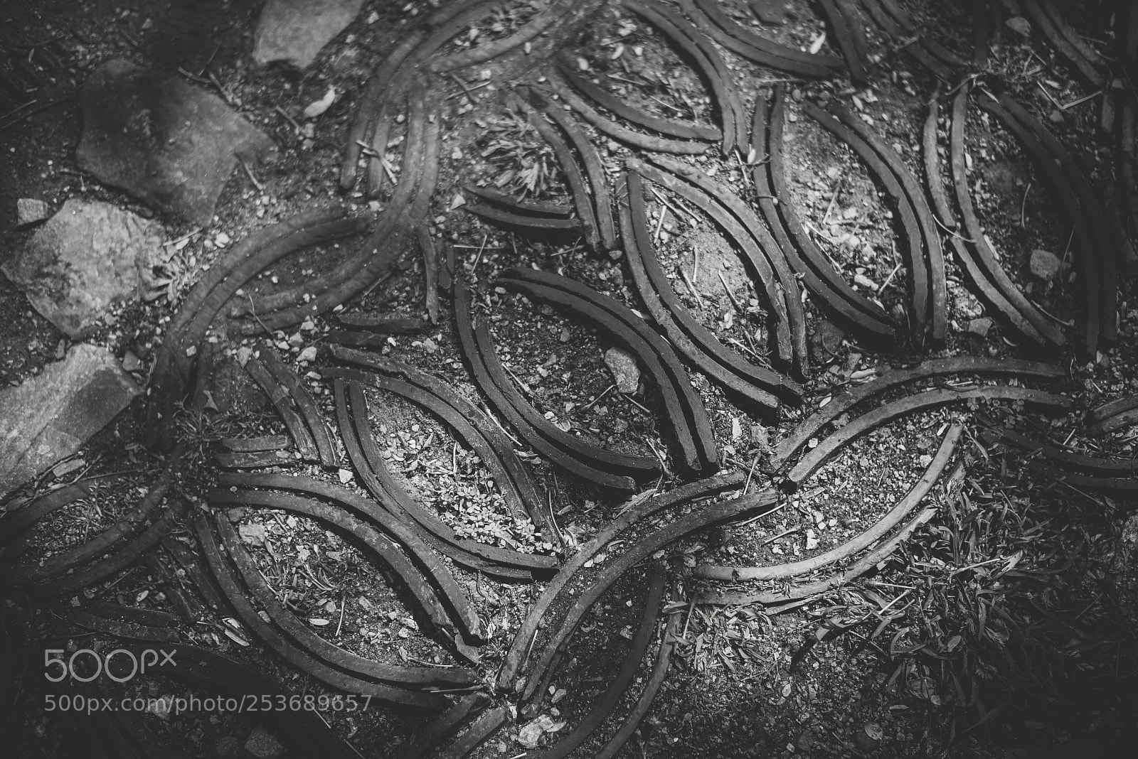 Nikon D810 sample photo. Untitled photography