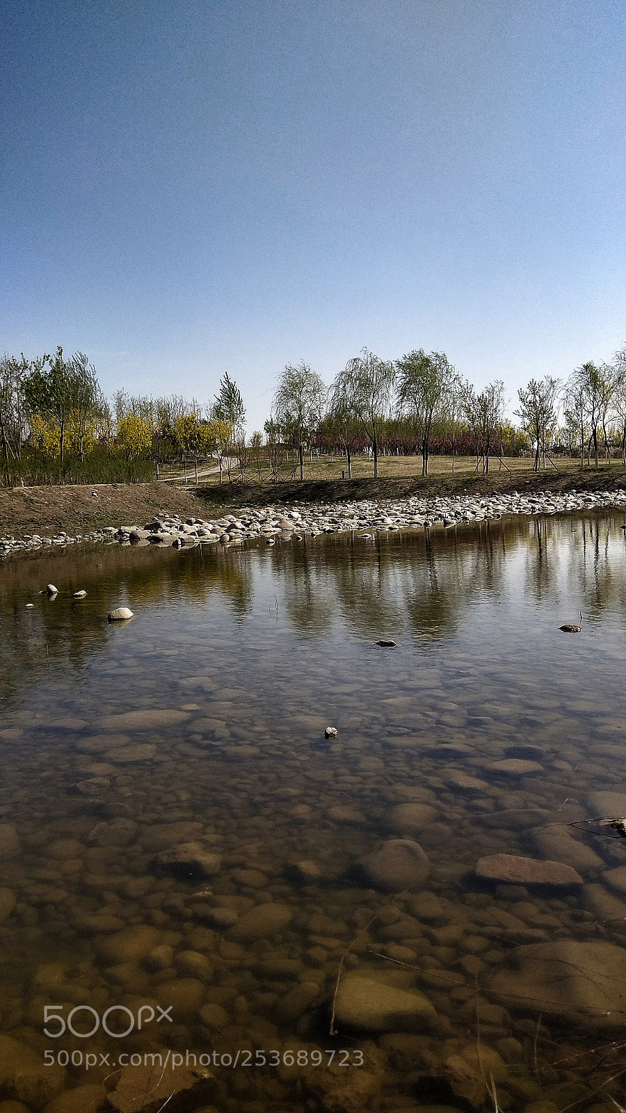Xiaomi Redmi Note 4X sample photo. 5 photography