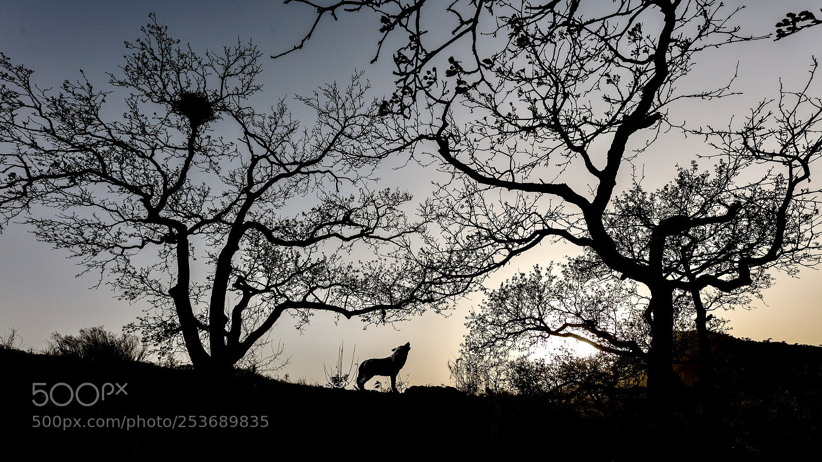 Canon EOS 5DS R sample photo. In the hillside photography