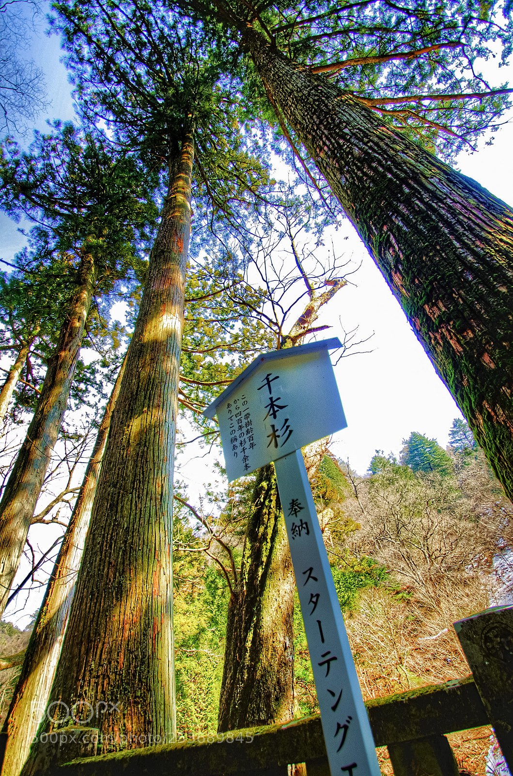Pentax K-5 sample photo. Haruna style 3... haruna shrine 榛名神社 photography
