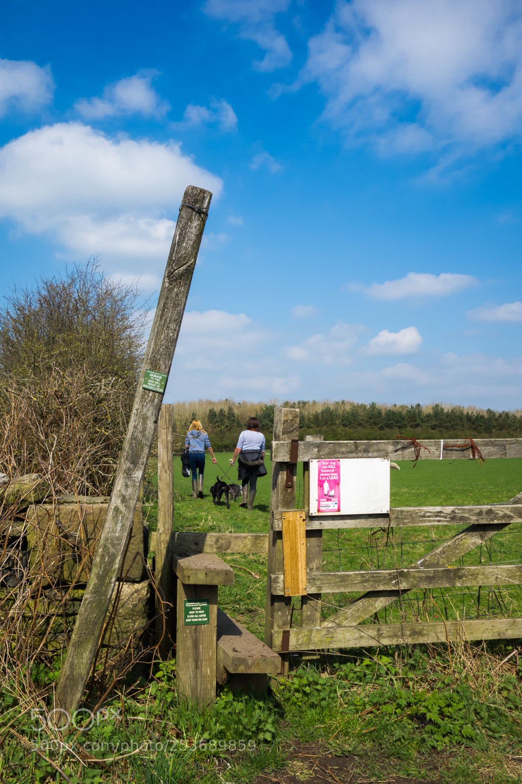 Sony Cyber-shot DSC-RX100 sample photo. A country walk photography