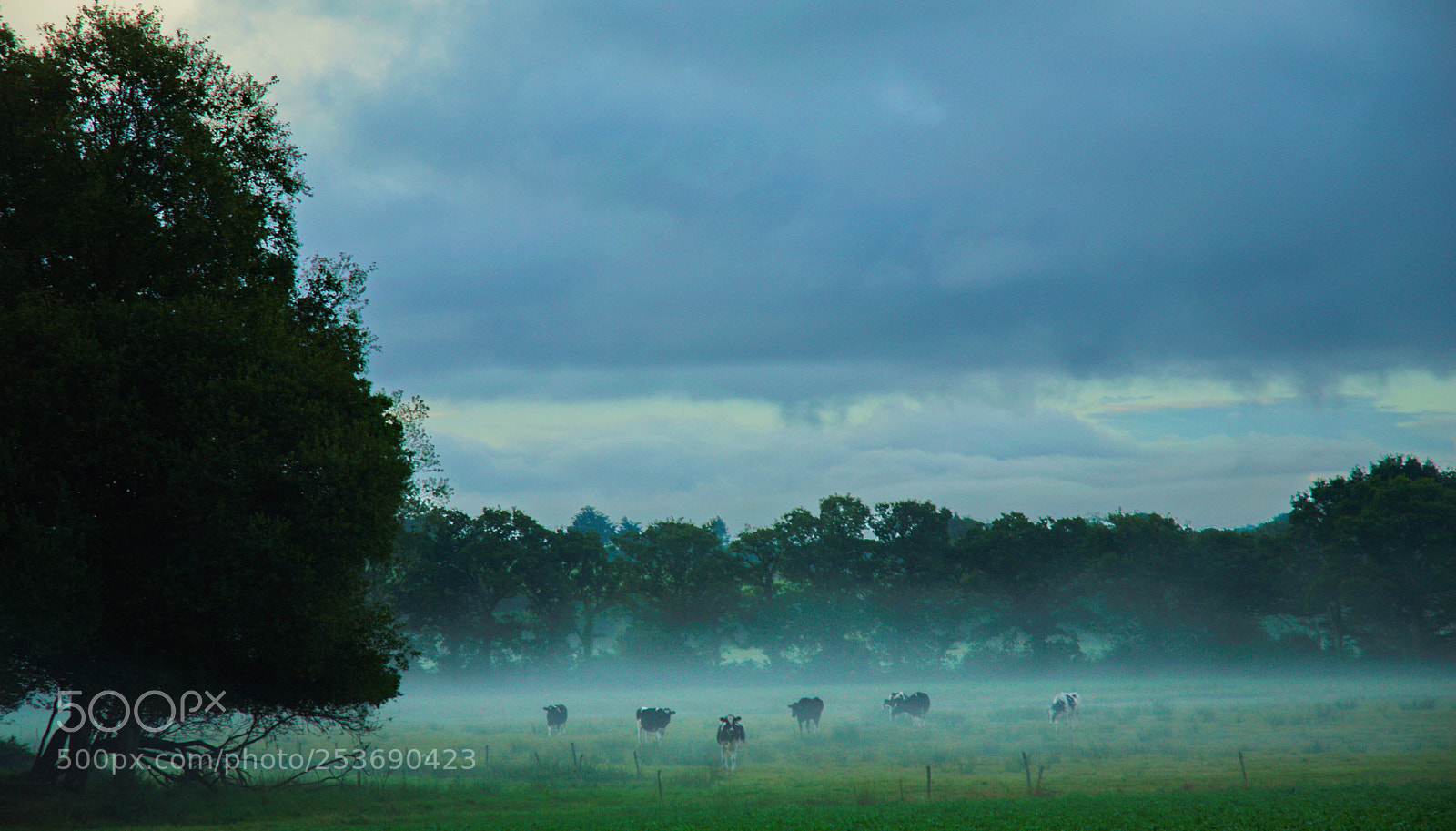 Nikon D3200 sample photo. Foggy morning in brittany photography