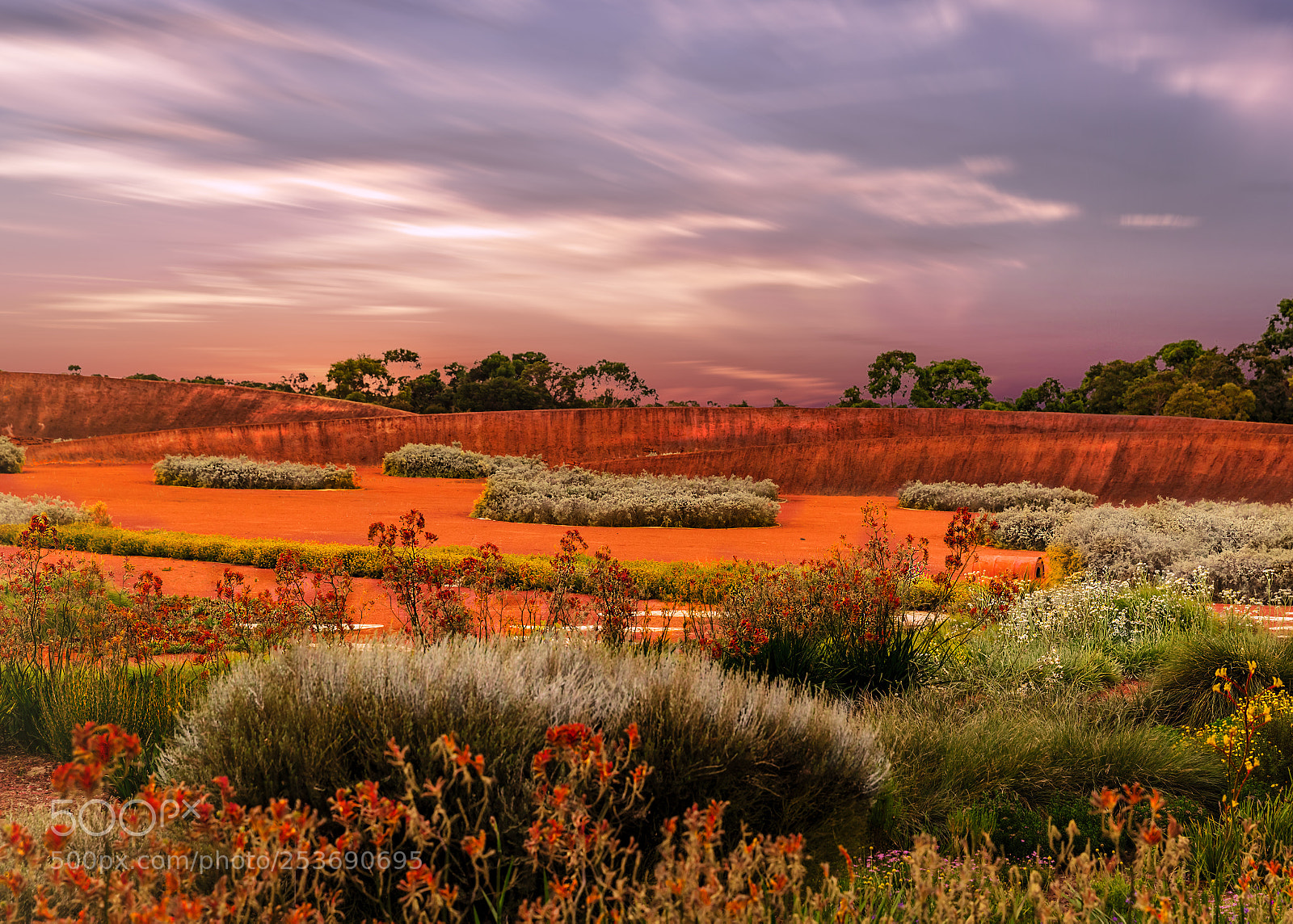 Canon EOS 6D Mark II sample photo. The desert garden photography