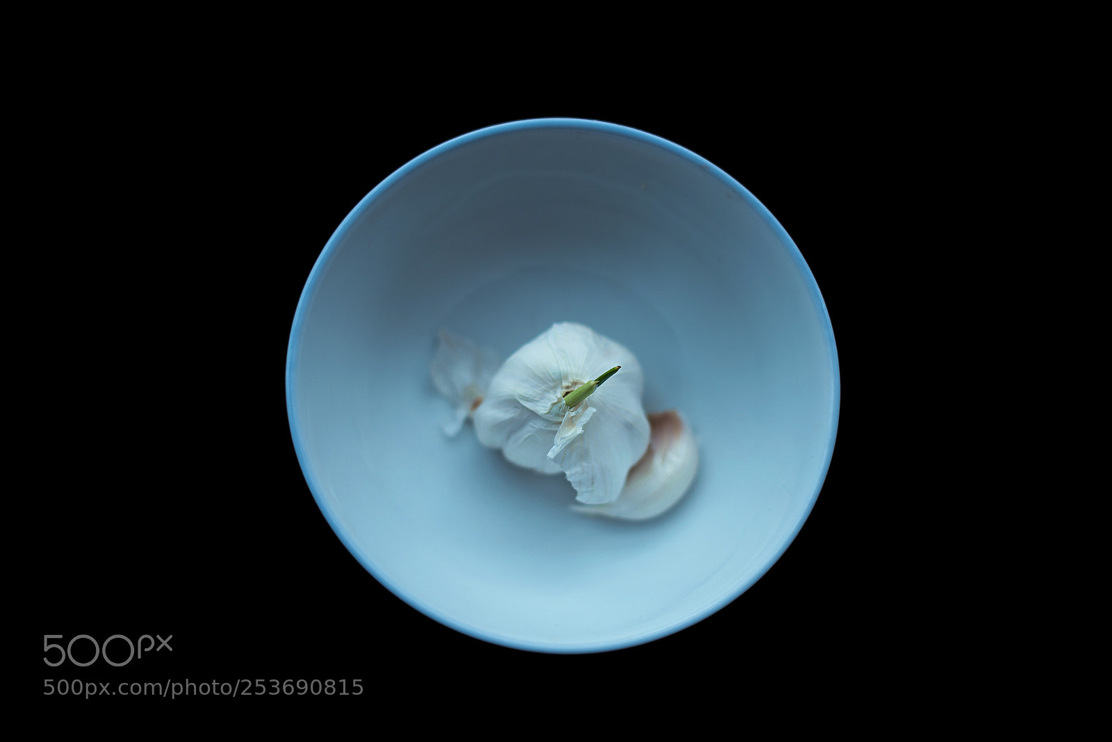 Nikon D810 sample photo. Untitled photography