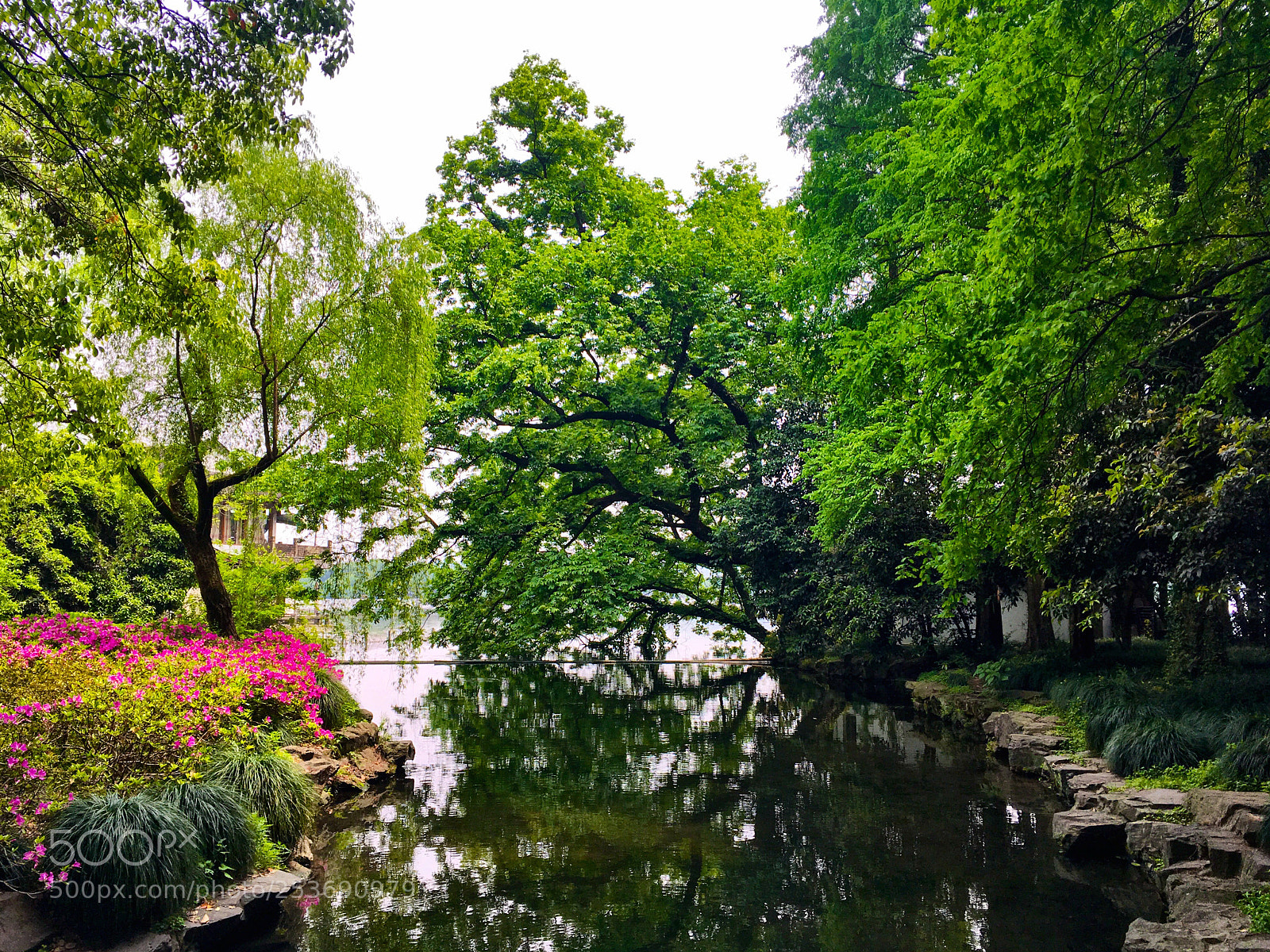 Apple iPhone SE sample photo. Corner of west lake photography