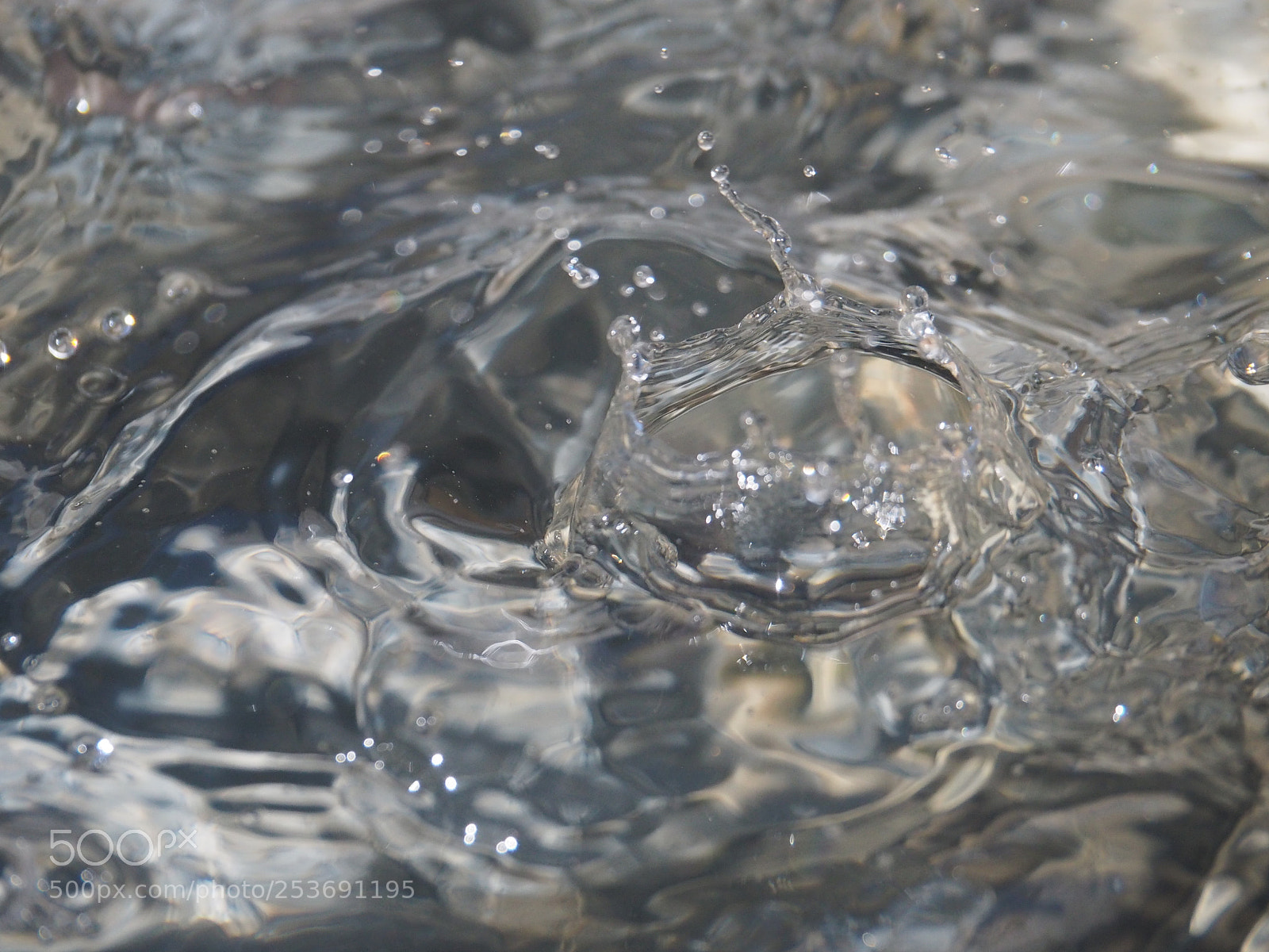 Olympus OM-D E-M5 II sample photo. Droplets photography