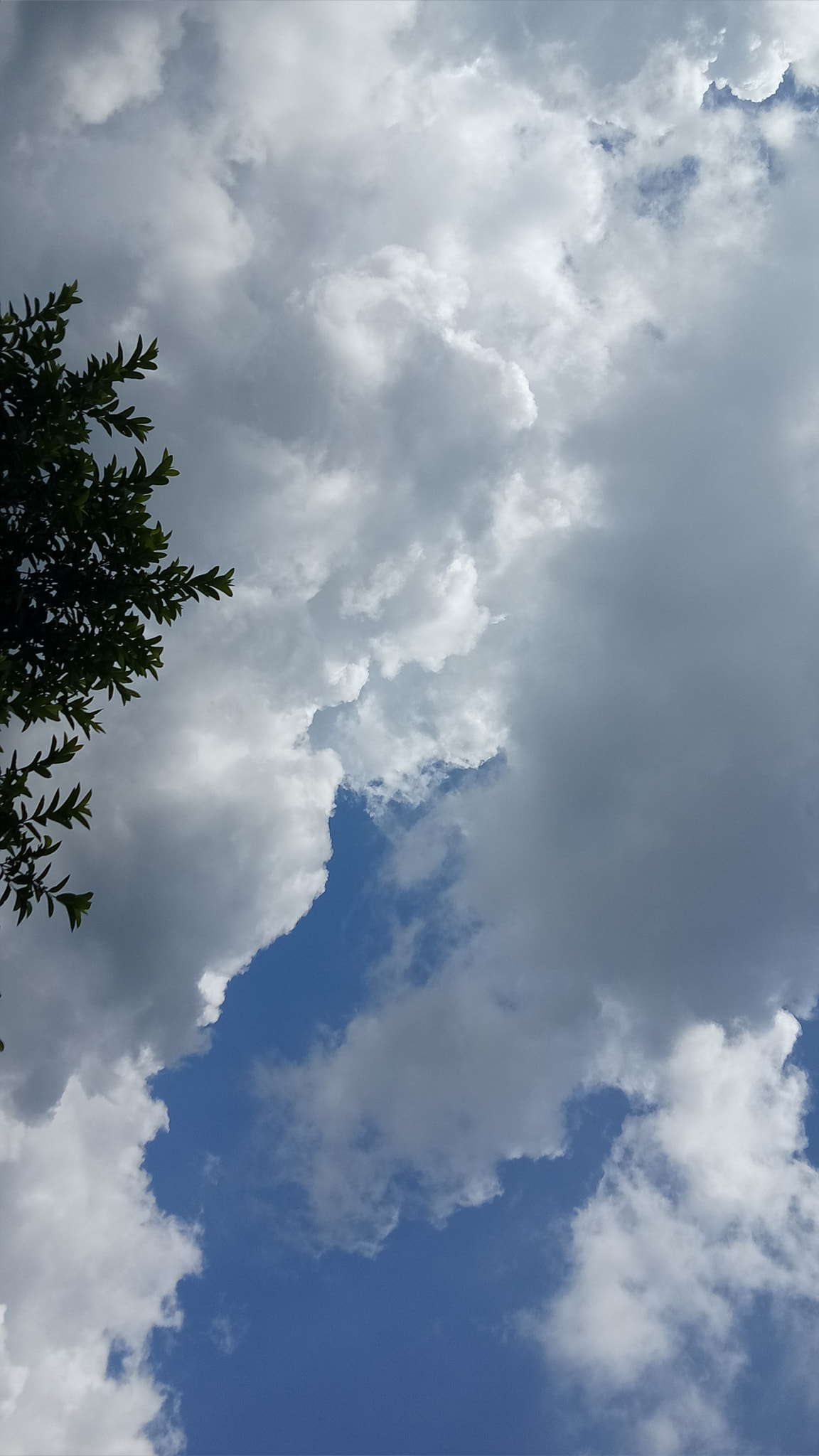 OPPO A1601 sample photo. Clouds photography