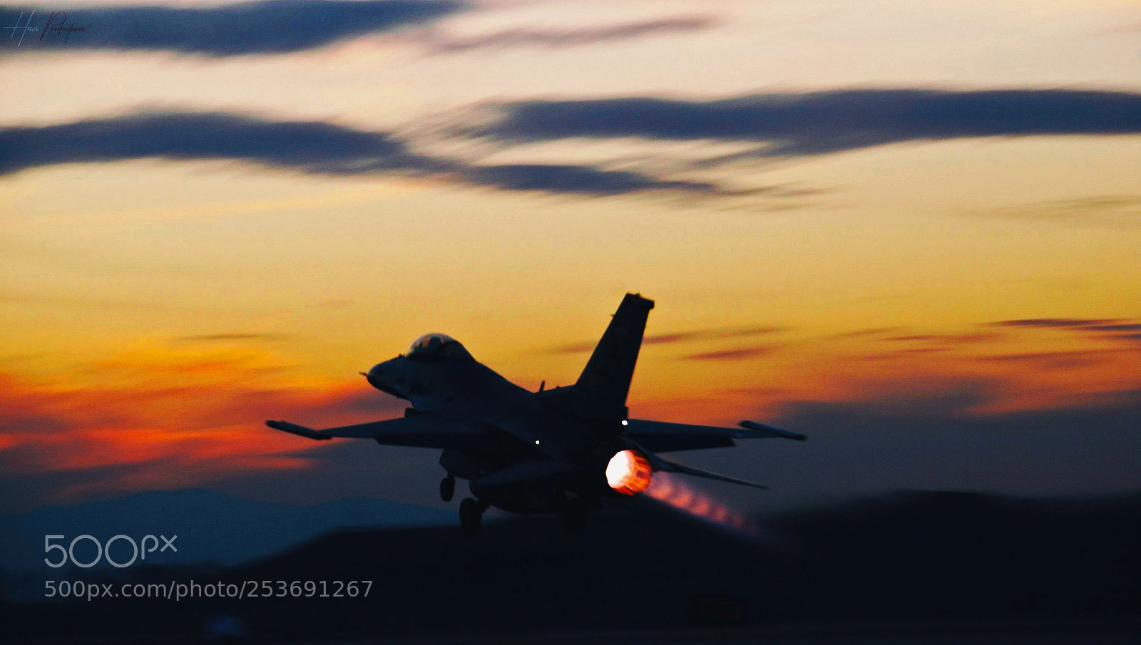 Nikon D80 sample photo. Fighting falcon 8297 photography