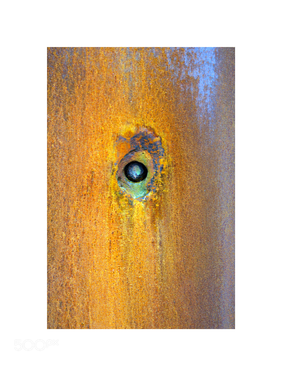 Nikon D7200 sample photo. Rust: samphire hoe photography