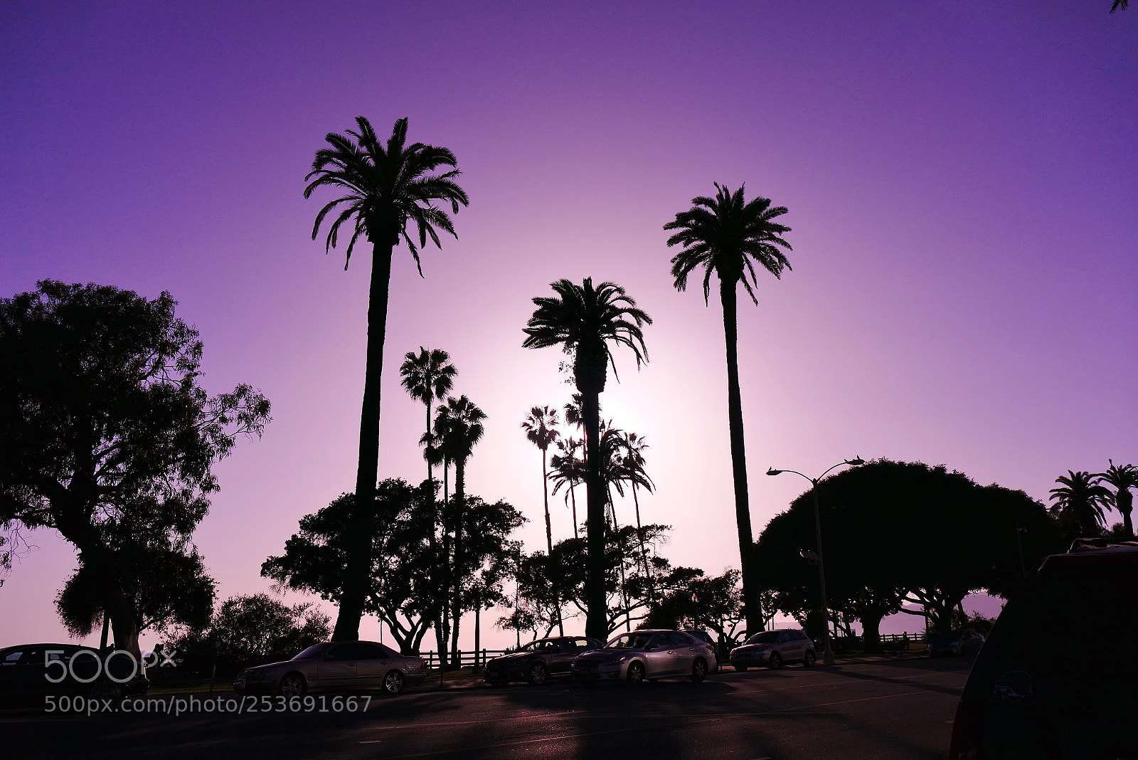 Panasonic Lumix DMC-FZ1000 sample photo. Ocean avenue sunset photography
