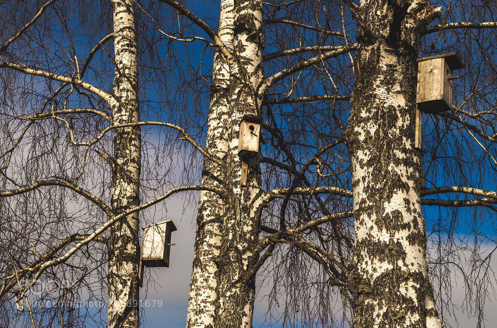 Nikon D5100 sample photo. Birdhouse photography
