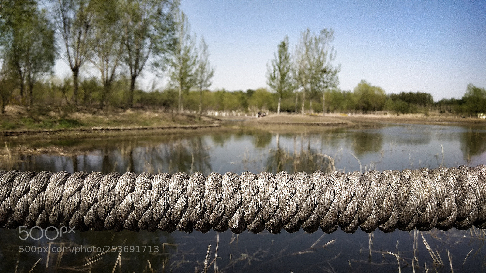 Xiaomi Redmi Note 4X sample photo. 7 photography