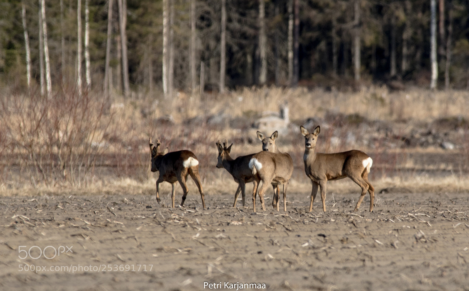Canon EOS 7D Mark II sample photo. Sunday morning photography