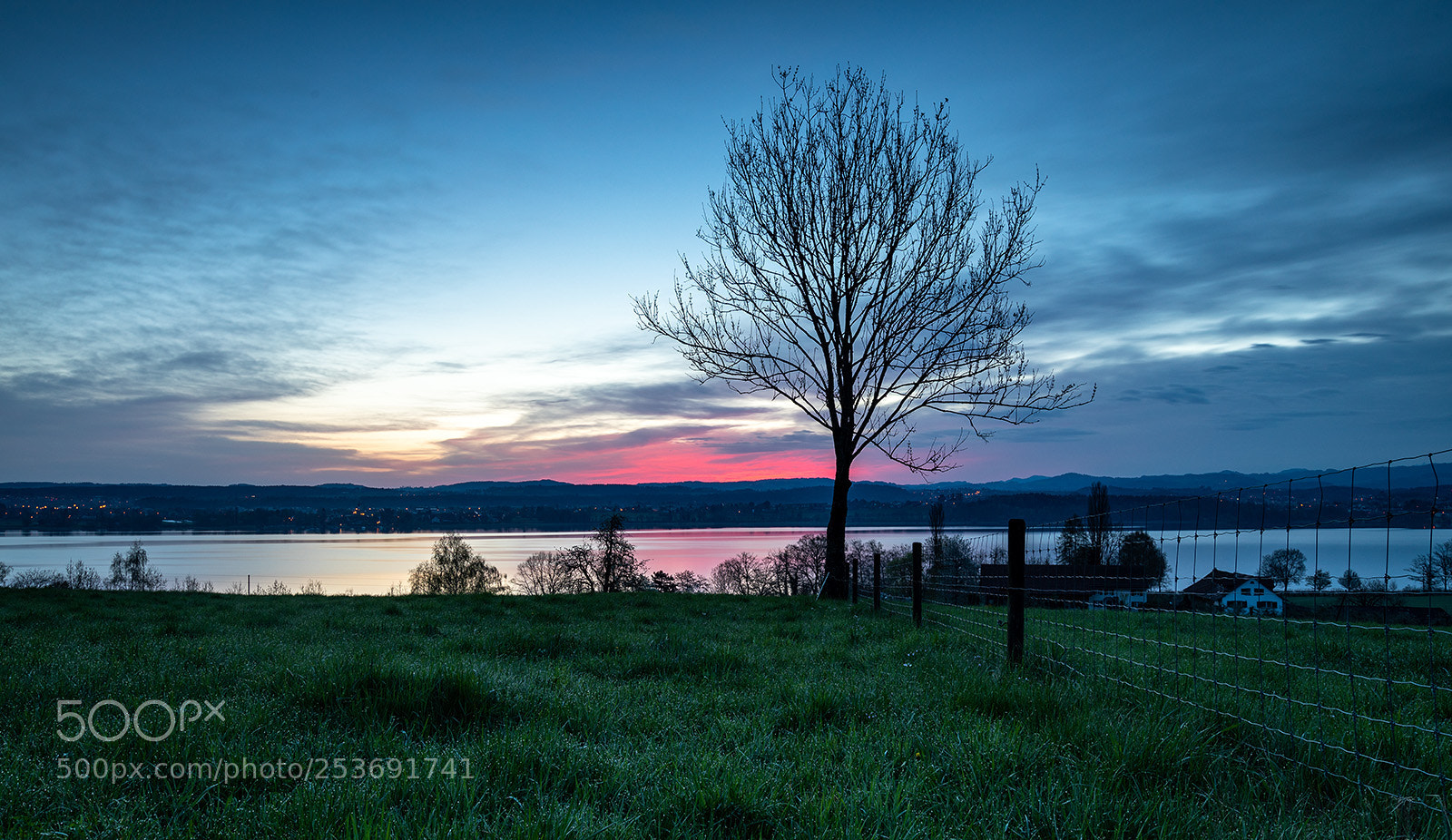 Canon EOS 5D Mark IV sample photo. Morgenstimmung baum photography