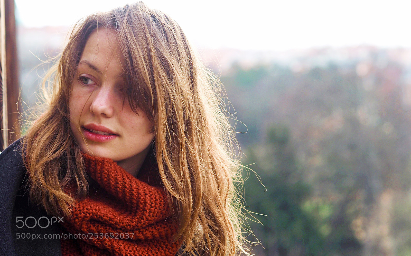 Olympus PEN E-PL7 sample photo. Spring dreaming photography