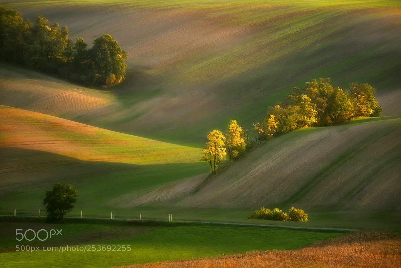 Nikon D810 sample photo. Moravian evening photography