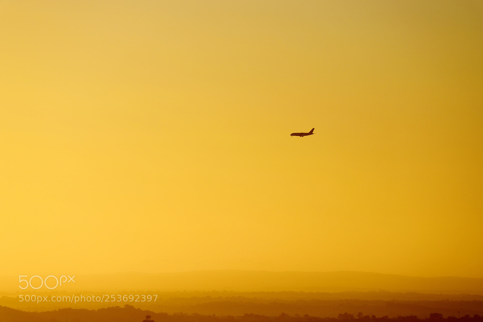 Canon EOS 6D Mark II sample photo. Fly alone!! photography