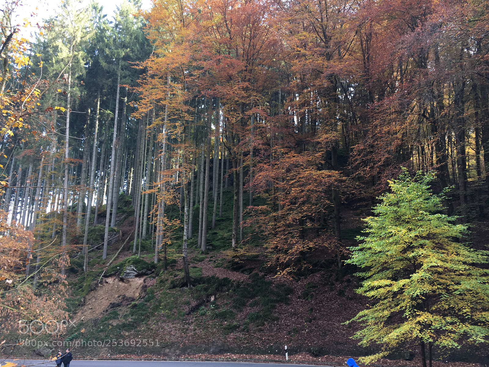 Apple iPhone 6s sample photo. Img photography