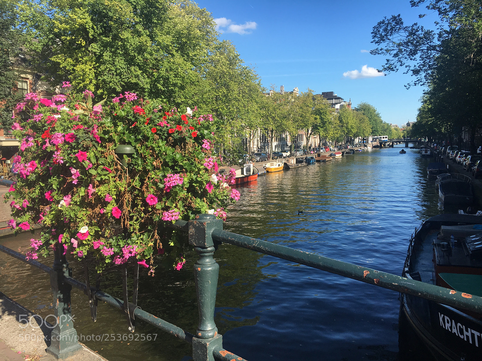 Apple iPhone 6s sample photo. Img photography