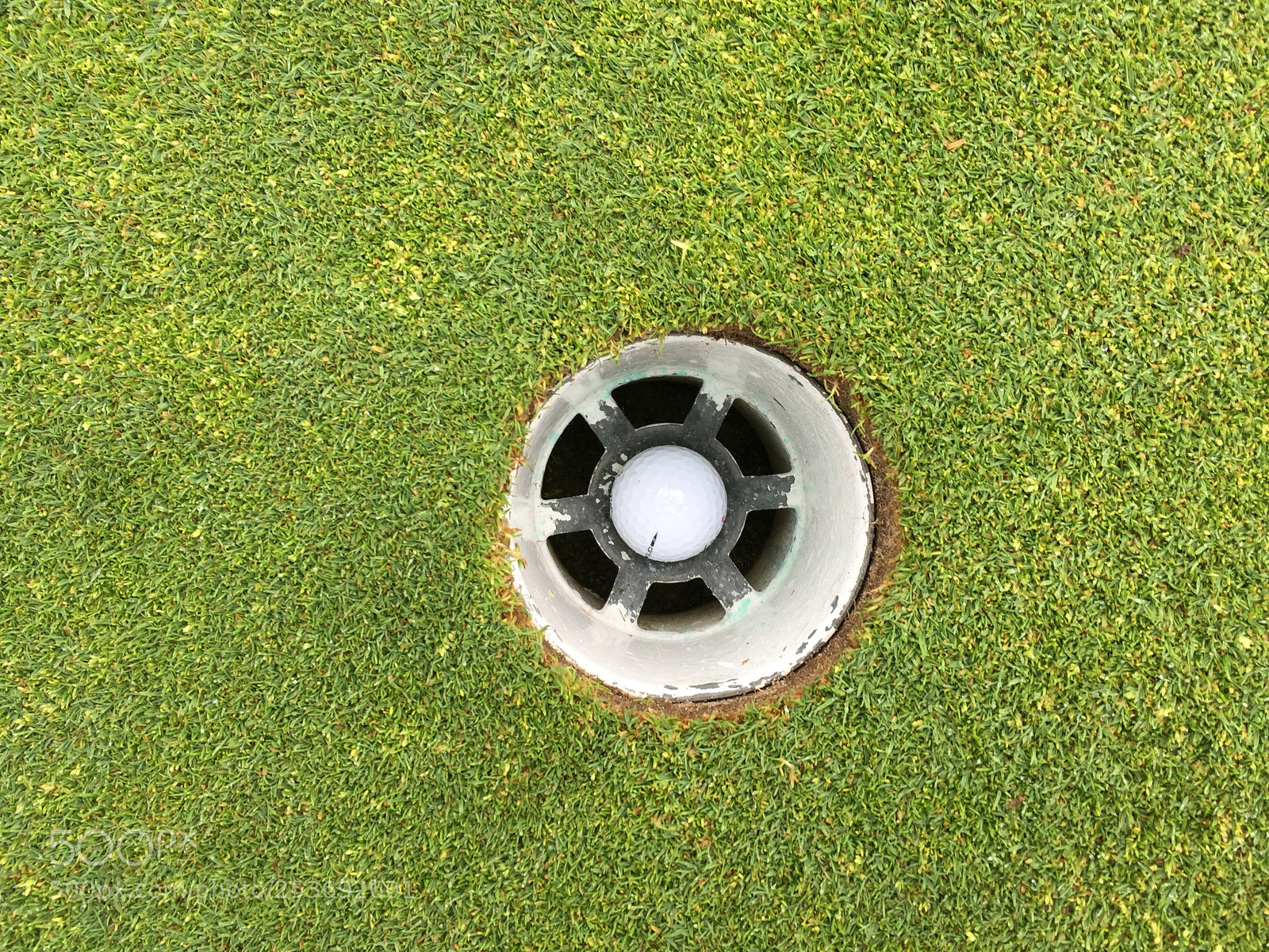 Apple iPhone 6 sample photo. Img photography