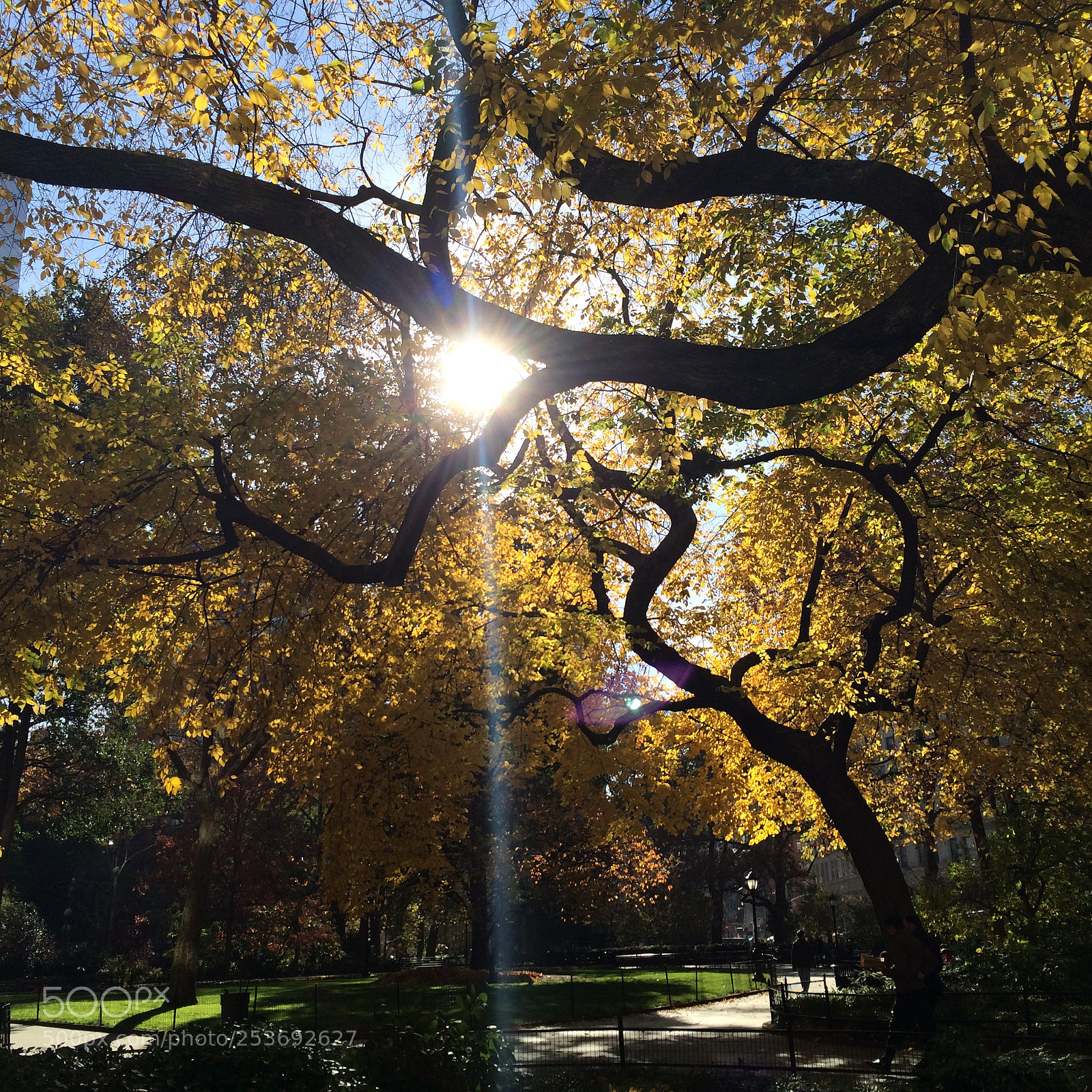 Apple iPhone 5s sample photo. Img photography