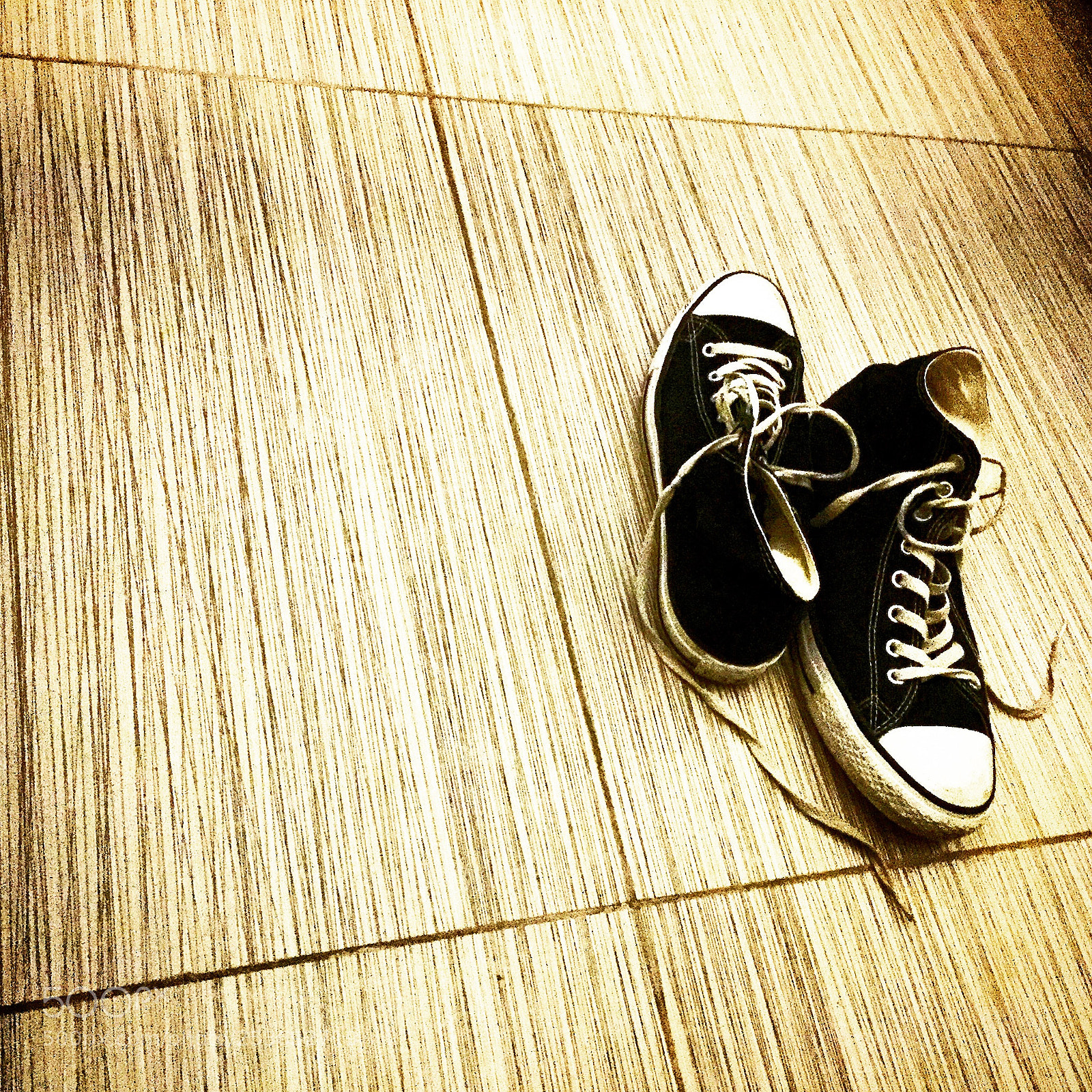 Apple iPhone 6 sample photo. Img photography