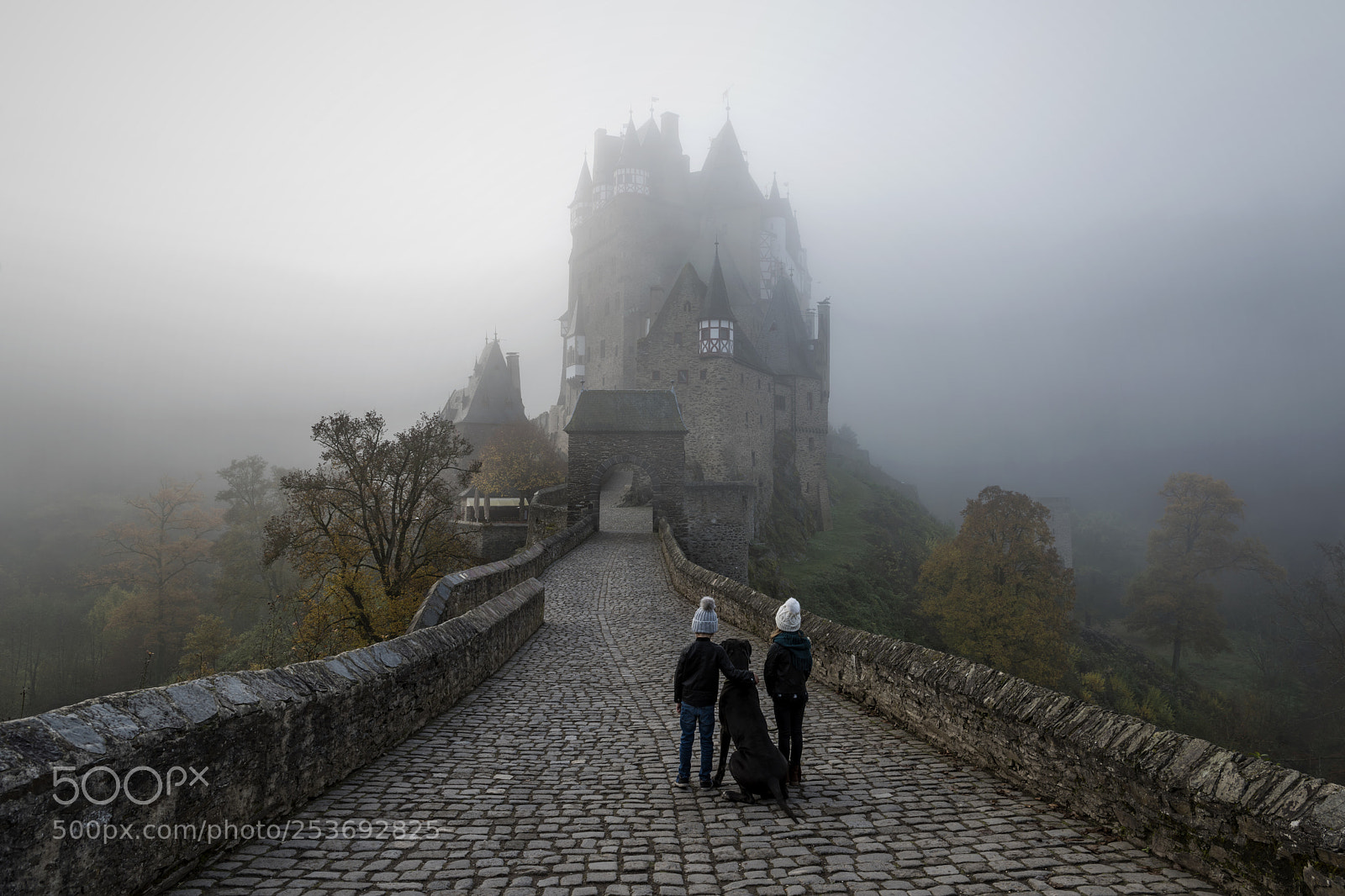 Nikon D810 sample photo. Misty eltz castle photography