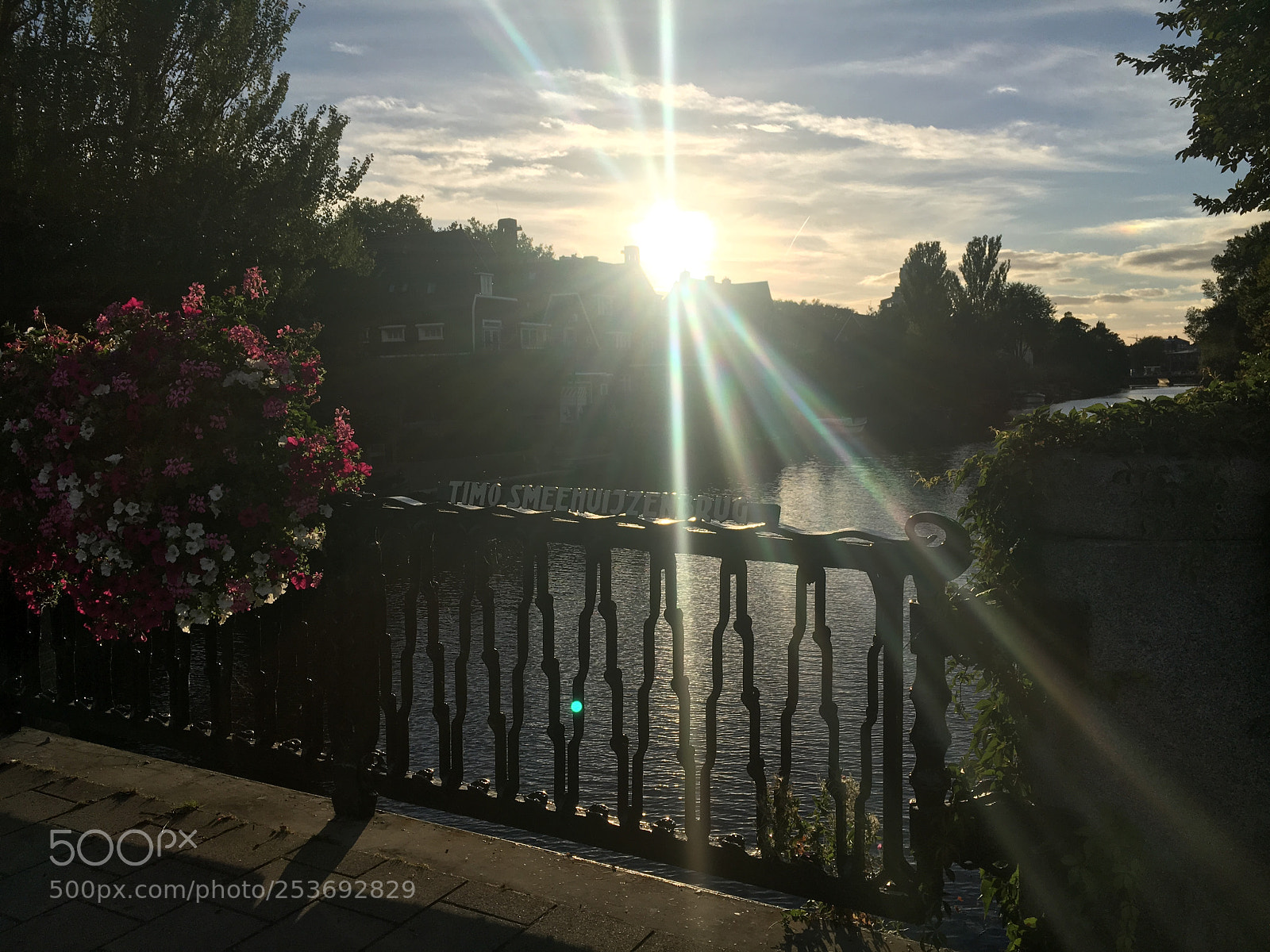 Apple iPhone 6s sample photo. Img photography