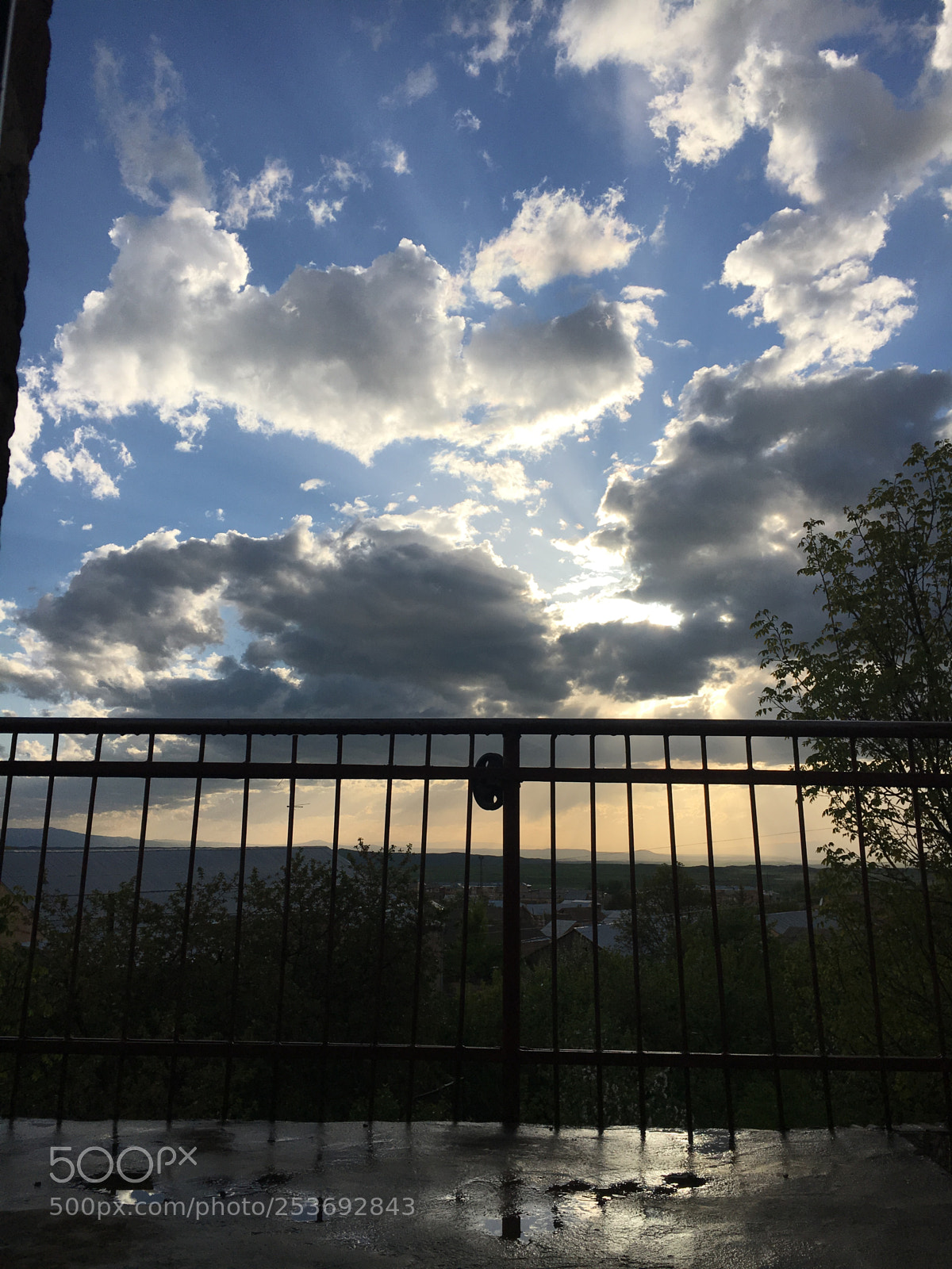 Apple iPhone 6s sample photo. Img photography