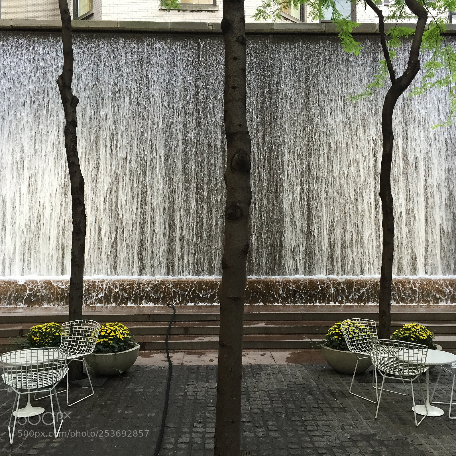 Apple iPhone 6 sample photo. Img photography