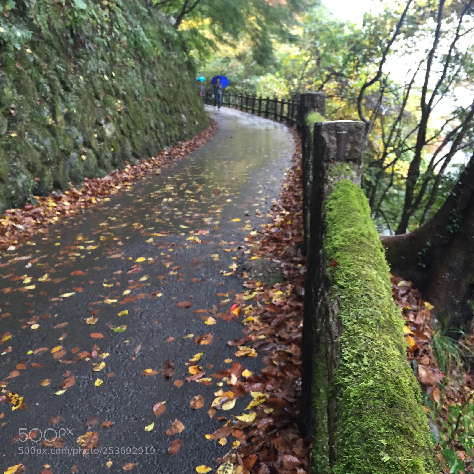 Apple iPhone 6 sample photo. Img photography