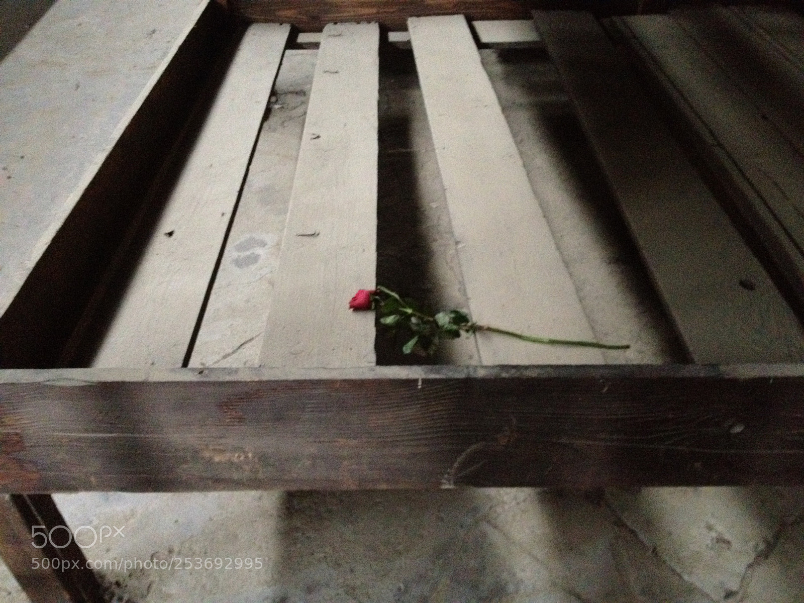 Apple iPhone 4S sample photo. Img photography