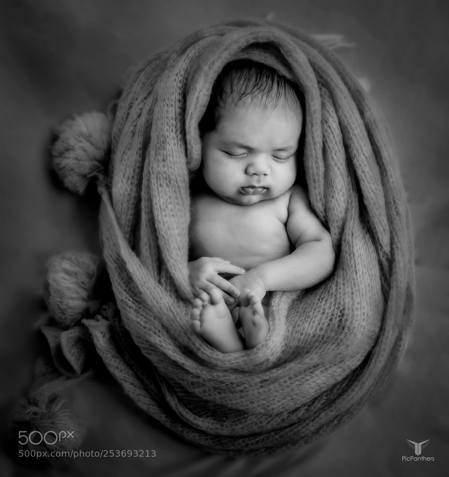 Nikon D810 sample photo. Untitled photography