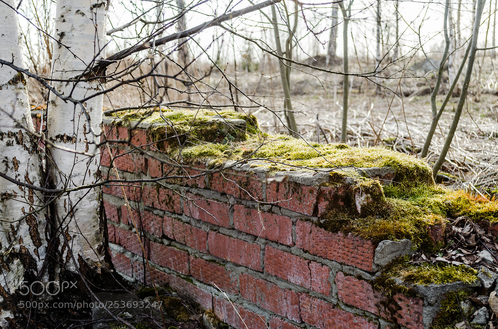 Nikon D5100 sample photo. Time photography