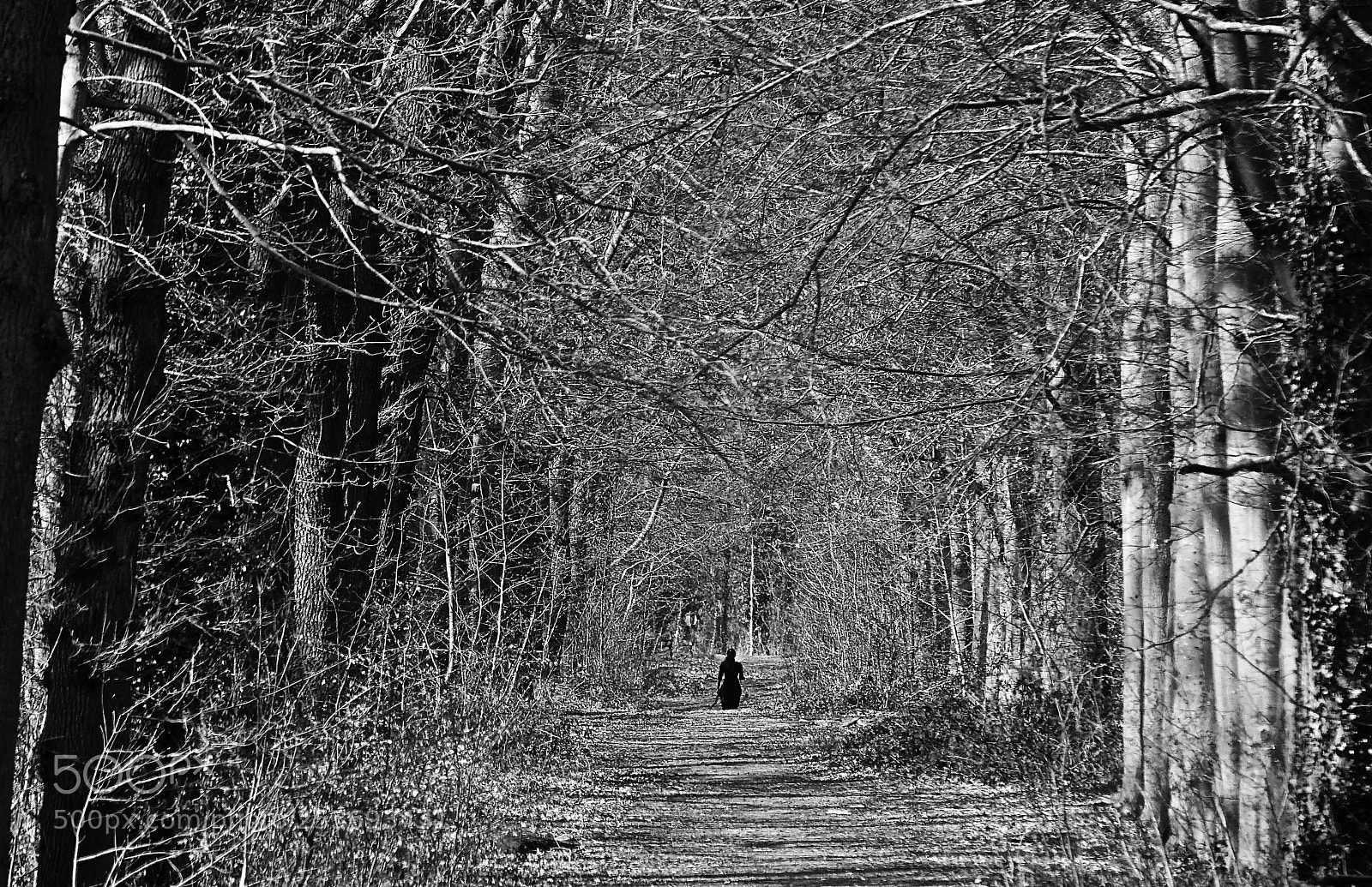 Sony Cyber-shot DSC-RX10 III sample photo. 'the ghost in the photography
