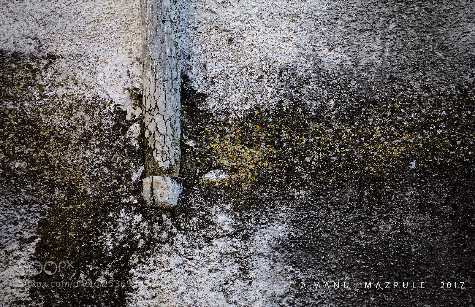Canon EOS 70D sample photo. 286. girona. catalunya.... photography