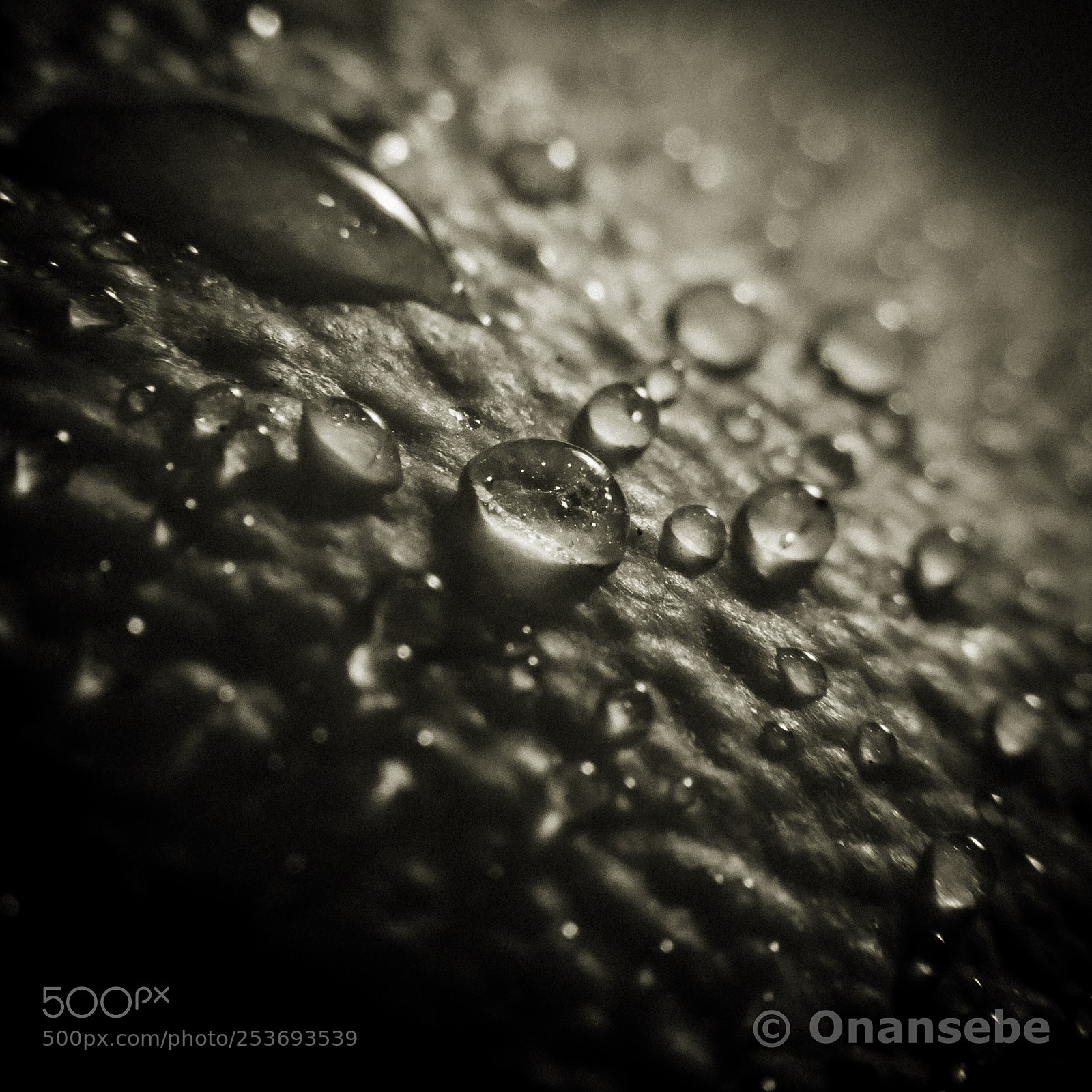 Nikon D5200 sample photo. Drops photography