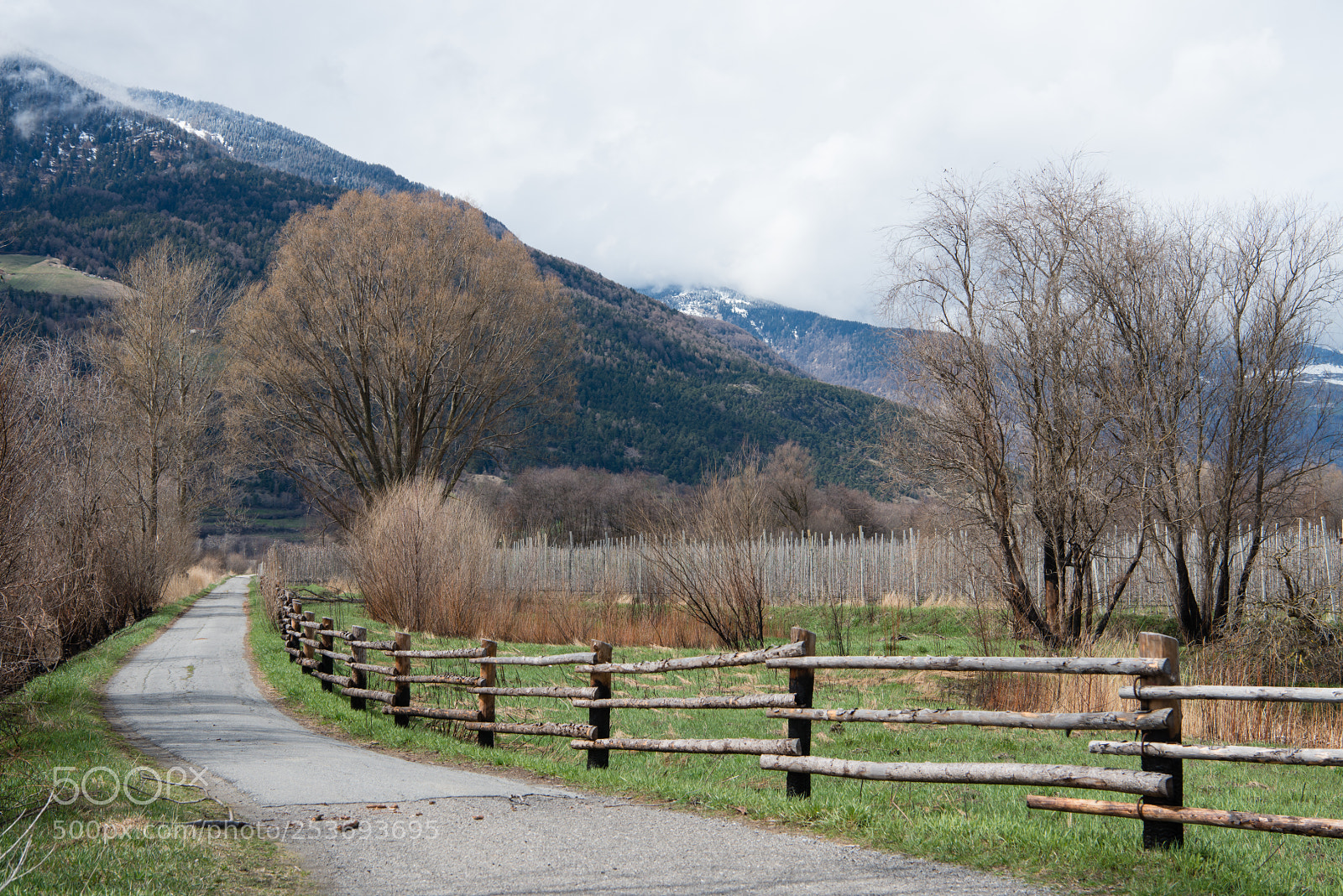 Nikon D800 sample photo. Way photography