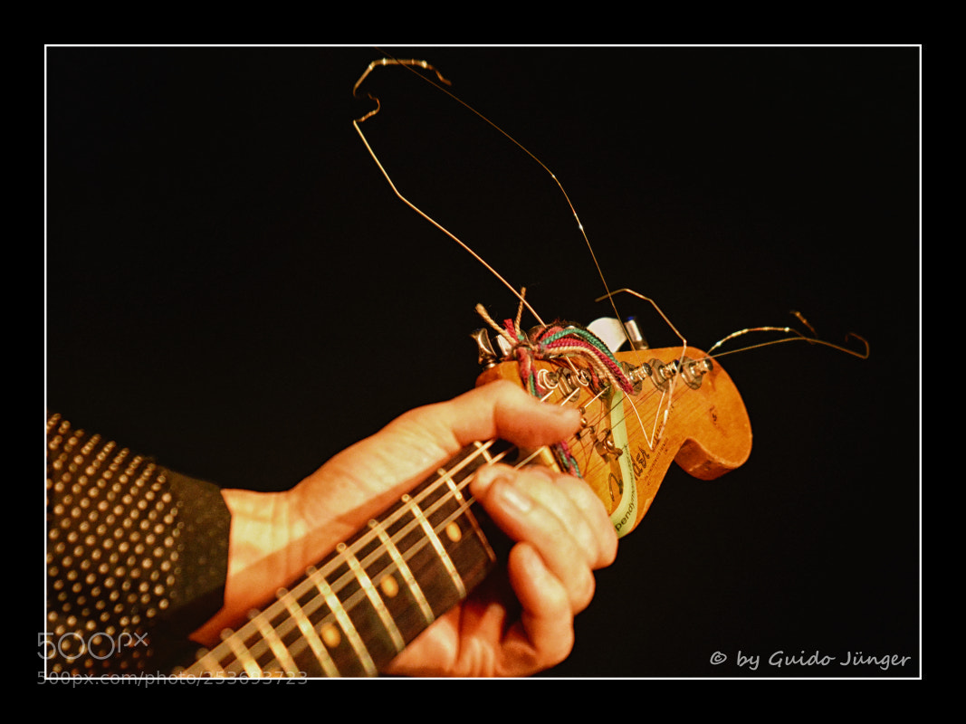 Nikon D7100 sample photo. Untitled photography